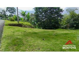  Land for sale in Dosquebradas, Risaralda, Dosquebradas