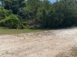  Terreno (Parcela) en alquiler en Isla Mujeres, Quintana Roo, Isla Mujeres, Quintana Roo