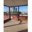 200 m² Office for rent in San Andres Cholula, Puebla, San Andres Cholula