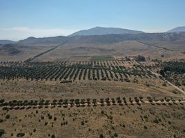  Terrain for sale in Tecate, Baja California, Tecate