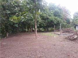  Terreno (Parcela) en venta en Panamá Oeste, Chame, Chame, Panamá Oeste