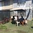 2 Bedroom Villa for rent in Santiago, Santiago, Santiago, Santiago