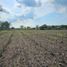  Land for sale in Venustiano Carranza, Michoacan, Venustiano Carranza, Michoacan