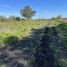  Land for sale in Uruguay Entre Rios, Uruguay