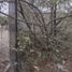  Terreno (Parcela) en venta en Tepoztlan, Morelos, Tepoztlan