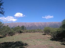 在San Luis出售的 土地, Junin, San Luis