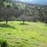 Terreno (Parcela) en venta en Melipilla, Santiago, Curacavi, Melipilla