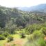  Terreno (Parcela) en venta en Melipilla, Santiago, Curacavi, Melipilla