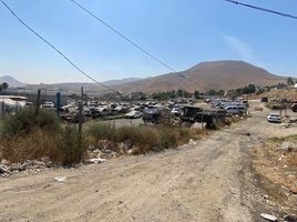  Grundstück zu verkaufen in Tijuana, Baja California, Tijuana