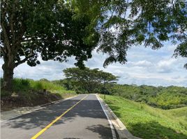  Land for sale in Pereira, Risaralda, Pereira