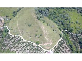  Terreno (Parcela) en venta en Santo Domingo, Antioquia, Santo Domingo