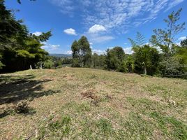  Grundstück zu verkaufen in Rionegro, Antioquia, Rionegro, Antioquia