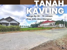  Land for sale in Bangorejo, Banyuwangi, Bangorejo