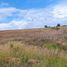  Land for sale in Zapopan, Jalisco, Zapopan, Jalisco