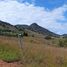  Land for sale in Zapopan, Jalisco, Zapopan, Jalisco