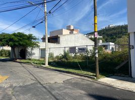  Grundstück zu verkaufen in Morelia, Michoacan, Morelia