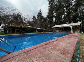  Land for sale in Chacabuco, Santiago, Colina, Chacabuco