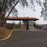  Terrain for sale in Veracruz, Alvarado, Veracruz
