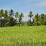  Land for sale in Pabellon De Arteaga, Aguascalientes, Pabellon De Arteaga, Aguascalientes