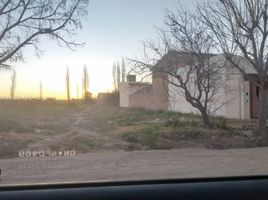  Land for sale in Mendoza, San Rafael, Mendoza