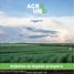  Land for sale in Hopelchen, Campeche, Hopelchen