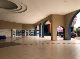 Estudio Villa en alquiler en Medellin, Veracruz, Medellin, Veracruz