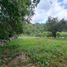  Terrain for sale in Jungla de Panama Wildlife Refuge, Palmira, Alto Boquete