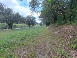  Terrain for sale in Jungla de Panama Wildlife Refuge, Palmira, Alto Boquete