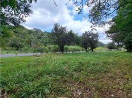  Land for sale in Alto Boquete, Boquete, Alto Boquete