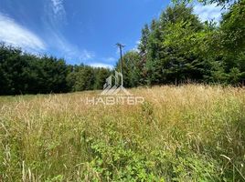  Land for sale in Araucania, Pucon, Cautin, Araucania