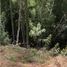  Land for sale in Araucania, Pucon, Cautin, Araucania