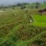  Land for sale in Purwakarta, West Jawa, Purwakarta, Purwakarta