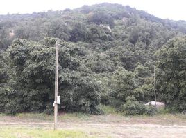  Land for sale in Chile, Santiago, Santiago, Santiago, Chile