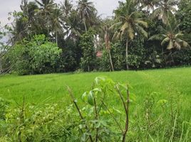  Land for sale in Pajangan, Bantul, Pajangan