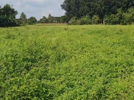  Terreno (Parcela) en venta en Calamba City, Calabarzon, Calamba City, Laguna, Calabarzon, Filipinas