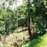  Land for sale in Selemadeg, Tabanan, Selemadeg