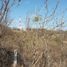  Land for sale in Dist Pochutla, Oaxaca, Dist Pochutla