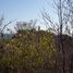  Land for sale in Dist Pochutla, Oaxaca, Dist Pochutla