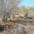  Land for sale in Dist Pochutla, Oaxaca, Dist Pochutla