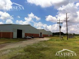  House for rent in Sinaloa, Guasave, Sinaloa