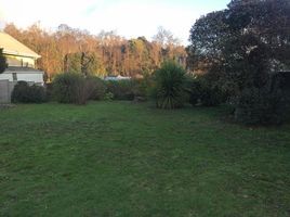  Land for sale in Mariquina, Valdivia, Mariquina