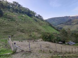  Land for sale in Manizales, Caldas, Manizales