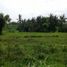  Land for sale in Ubud, Gianyar, Ubud