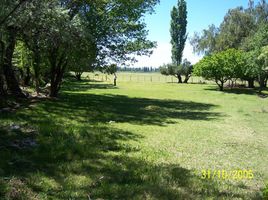  Casa en venta en San Rafael, Mendoza, San Rafael