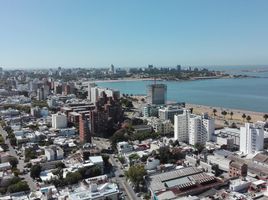 1 Schlafzimmer Appartement zu verkaufen in Chui, Rio Grande do Sul, Chui, Chui, Rio Grande do Sul, Brasilien