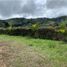  Land for sale in Marinilla, Antioquia, Marinilla