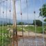  Land for rent in Tonala, Chiapas, Tonala