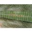  Land for sale in Hunucma, Yucatan, Hunucma
