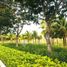  Land for sale in O Cho Dua, Hanoi, O Cho Dua