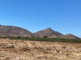  Grundstück zu verkaufen in Ensenada, Baja California, Ensenada
